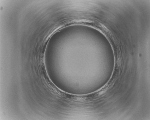 X0000057101361200510071926