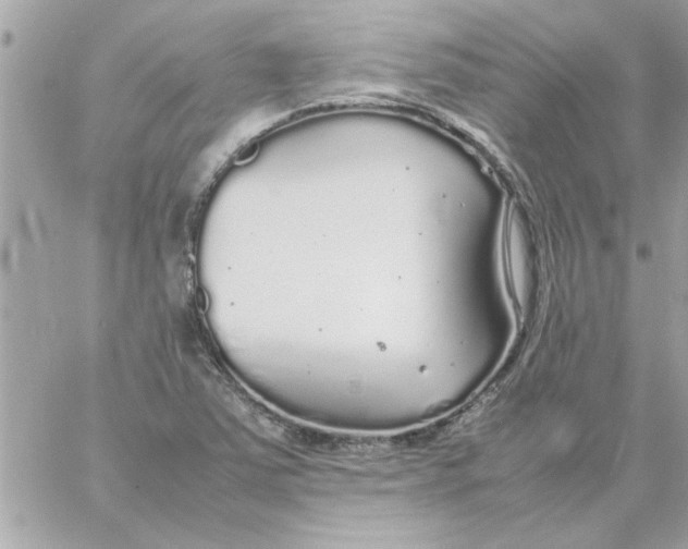 X0000057101363200510071926