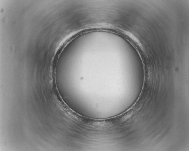 X0000057101364200510071926