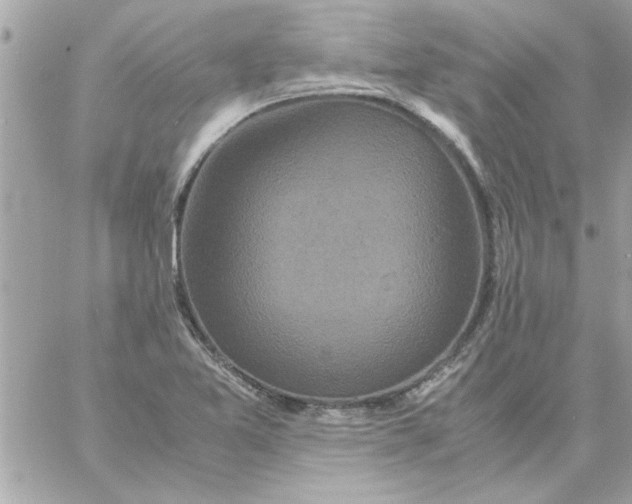 X0000057101365200510071926