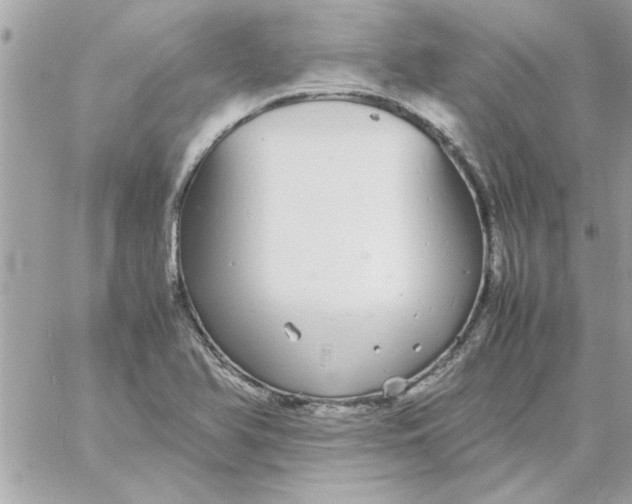 X0000057101366200510071926