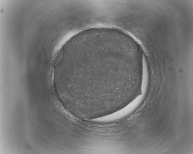 X0000057101367200510071926