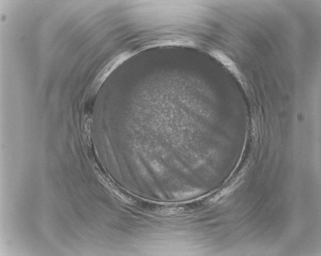 X0000057101369200510071926