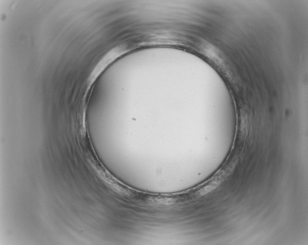 X0000057101370200510071926