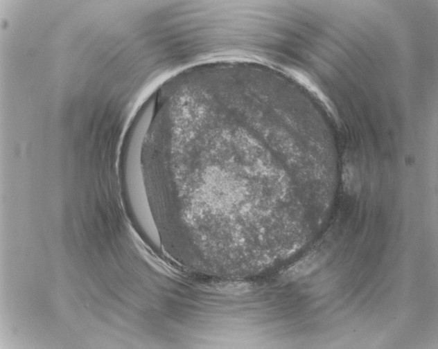 X0000057101372200510071926