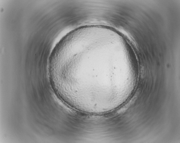 X0000057101374200510071926