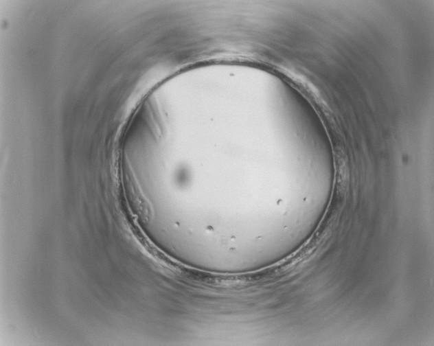 X0000057101375200510071926