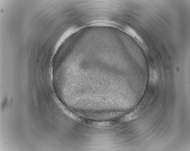 X0000057101376200510071926