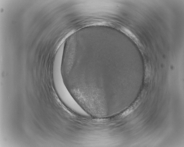 X0000057101377200510071926