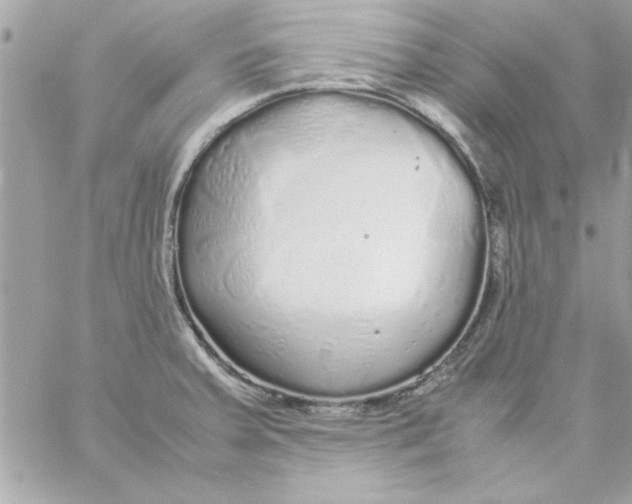 X0000057101379200510071926