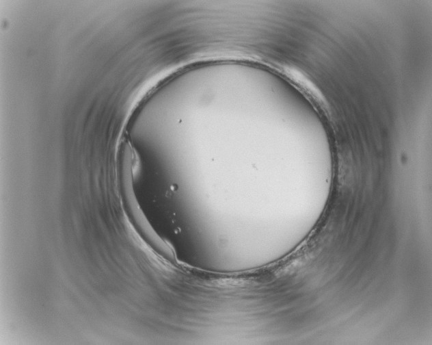 X0000057101380200510071926