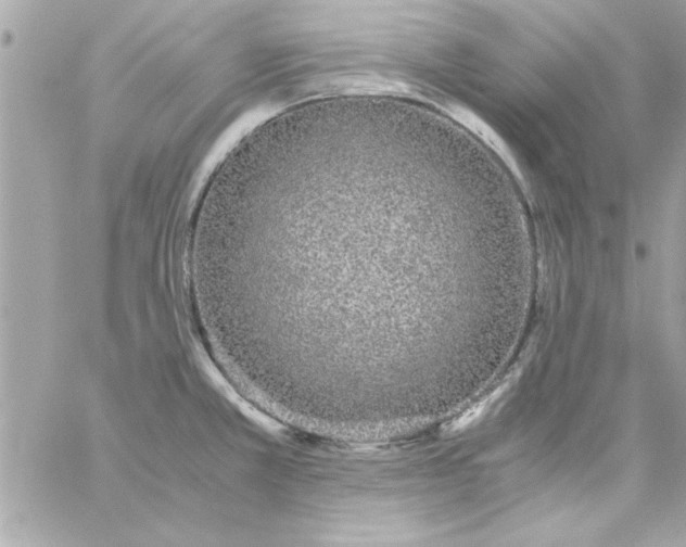 X0000057101381200510071926