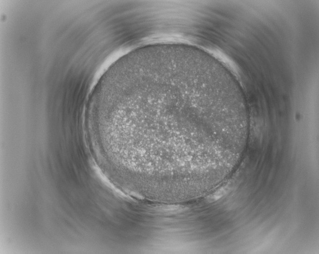 X0000057101382200510071926