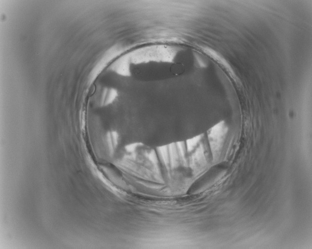 X0000057101383200510071926