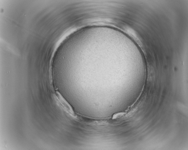 X0000057101384200510071926