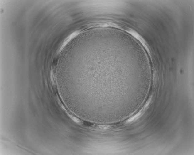 X0000057101385200510071926