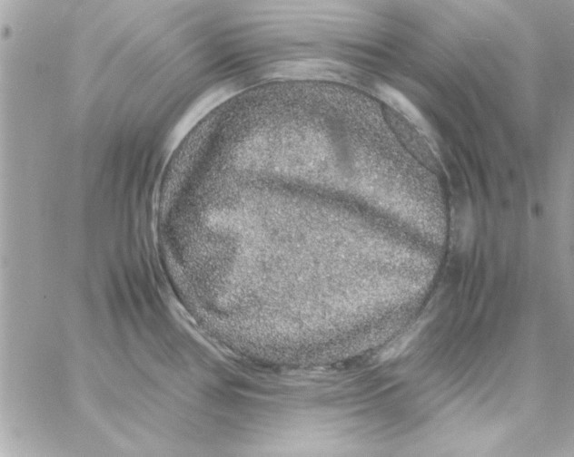 X0000057101386200510071926