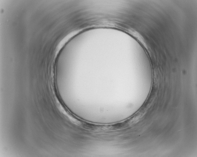 X0000057101387200510071926