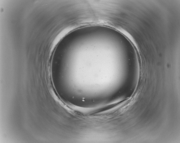 X0000057101389200510071926