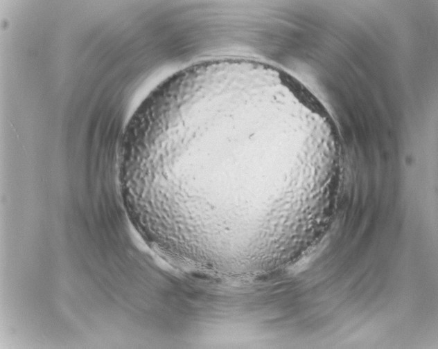 X0000057101390200510071926