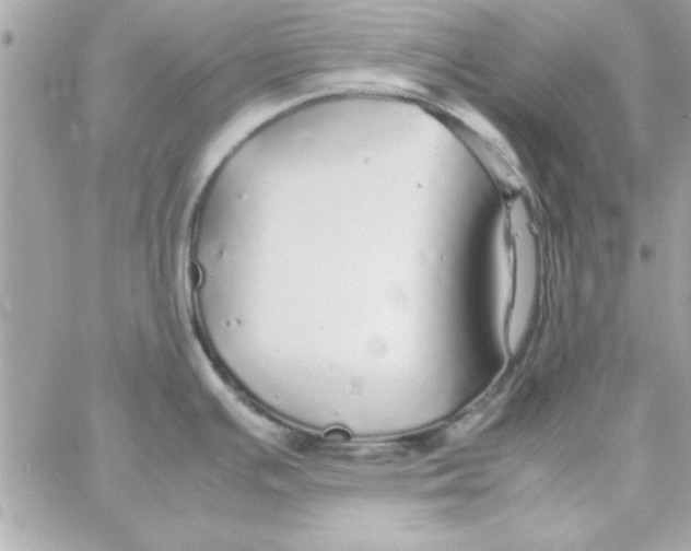 X0000057101391200510071926