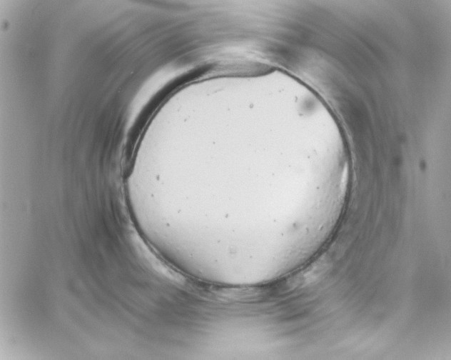 X0000057101392200510071926