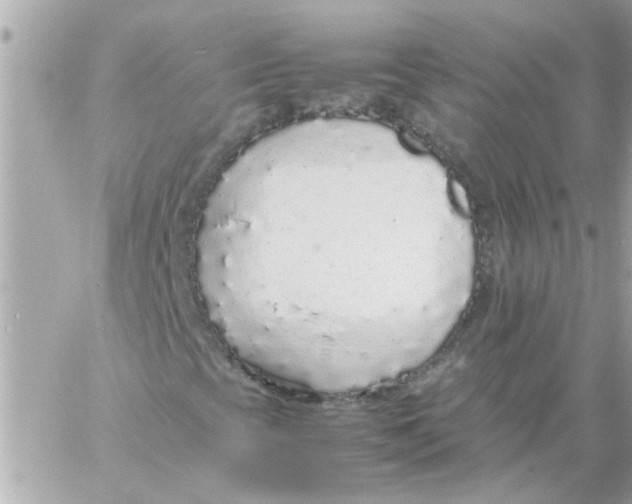 X0000057101393200510071925