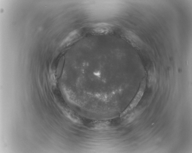 X0000057101394200510071925