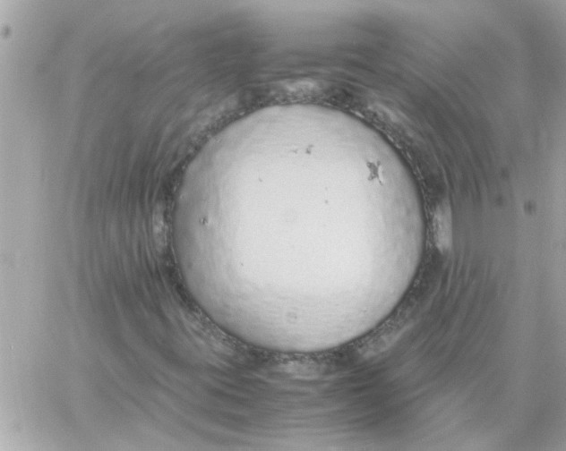 X0000057101395200510071925