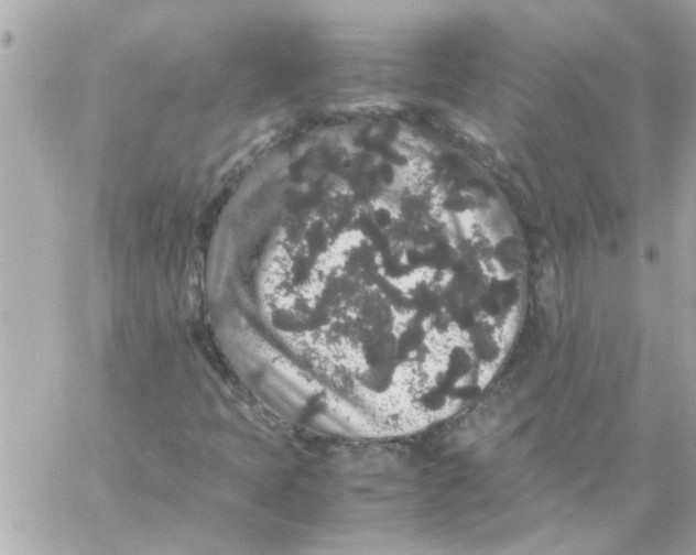 X0000057101397200510071925