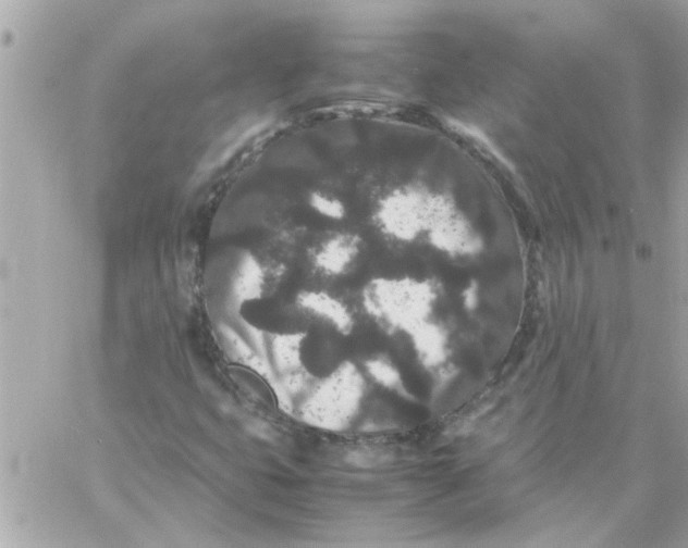 X0000057101399200510071925