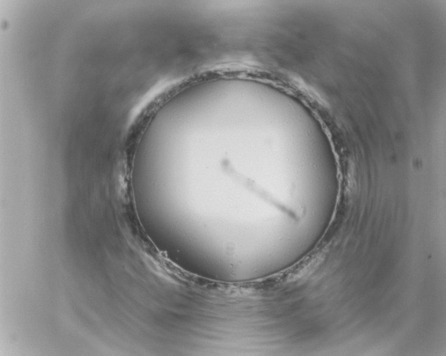 X0000057101400200510071925