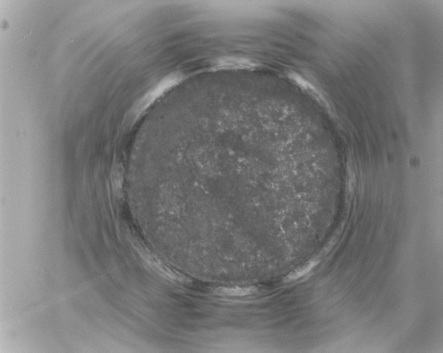 X0000057101401200510071925