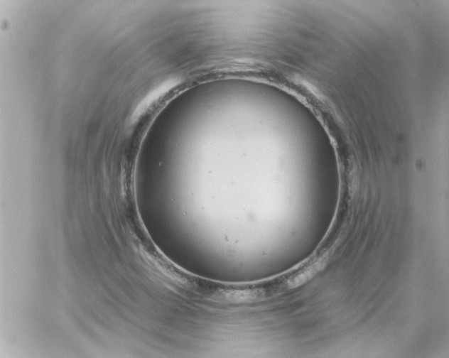 X0000057101402200510071925