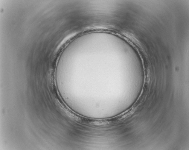 X0000057101404200510071925