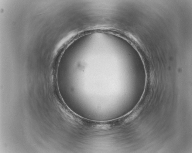 X0000057101406200510071925