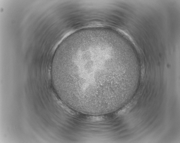 X0000057101409200510071925