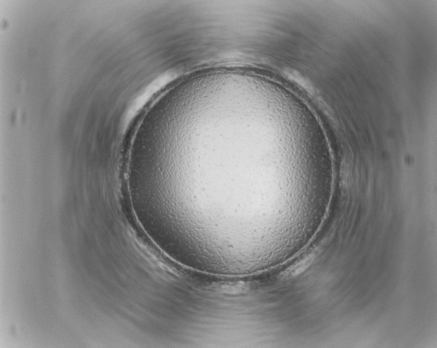 X0000057101410200510071925