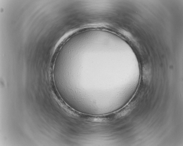 X0000057101412200510071925