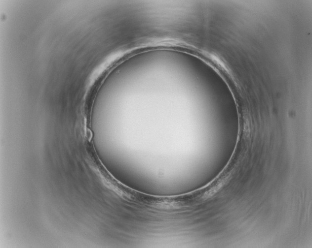 X0000057101414200510071925