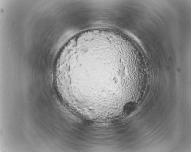 X0000057101415200510071925