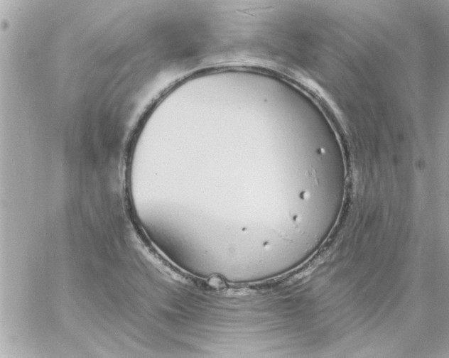 X0000057101416200510071925