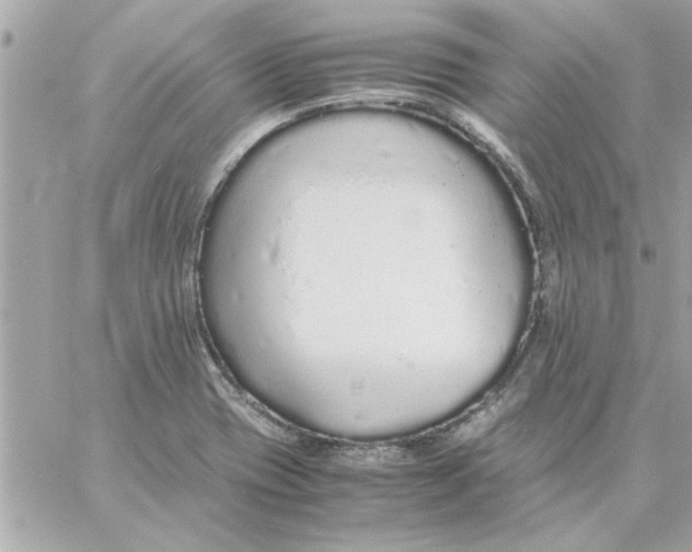 X0000057101417200510071925