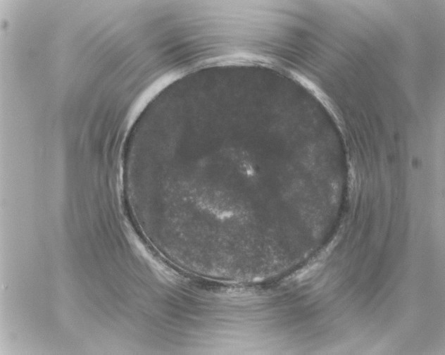 X0000057101418200510071925