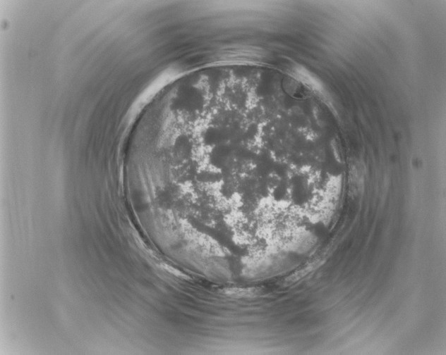 X0000057101419200510071925