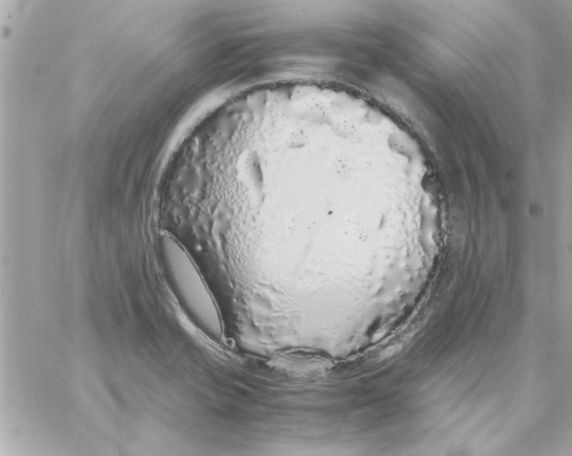 X0000057101421200510071925