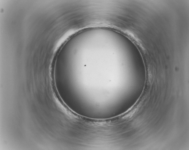 X0000057101422200510071925