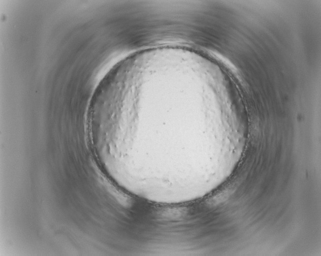 X0000057101423200510071925