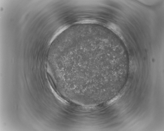 X0000057101425200510071925