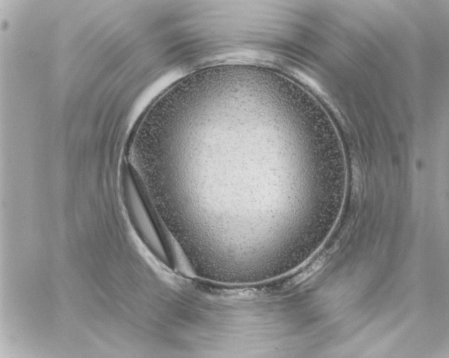 X0000057101426200510071925